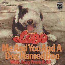 220px-Me_and_You_and_a_Dog_Named_Boo_-_Lobo