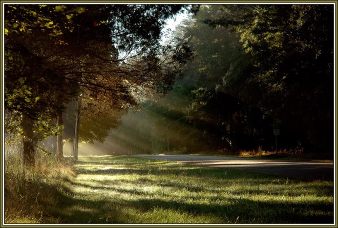 38-morning-has-broken